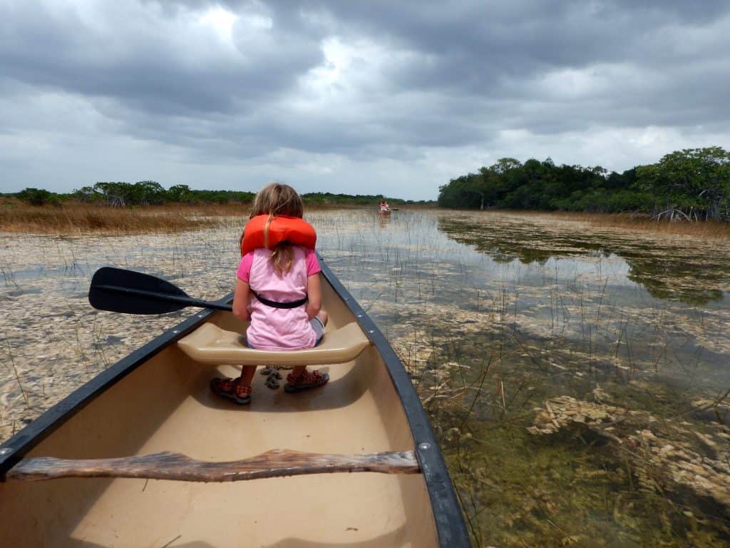 Kanotrip in de Everglades