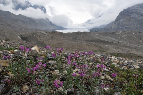 Athabasca Glacier, Sunwapta & Athabasca Falls