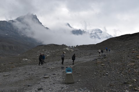 Athabasca Glacier years sign