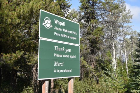 Wapiti Campground Sign