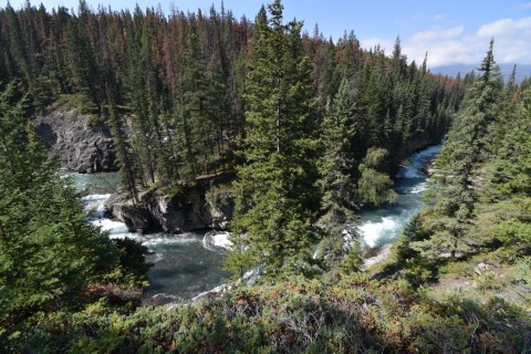 Wandeling Maligne Canyon - Jasper National Park