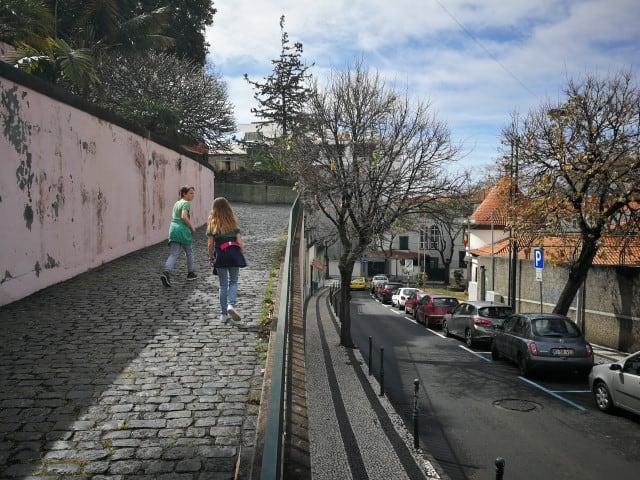 Forelvissen vergunning Madeira