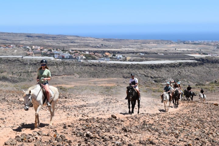 ader koffie nood Paardrijden op Gran Canaria - Globetrotter Avenue